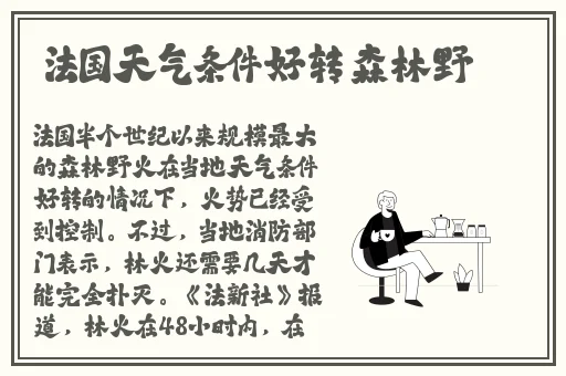 最好看的BB啥样的