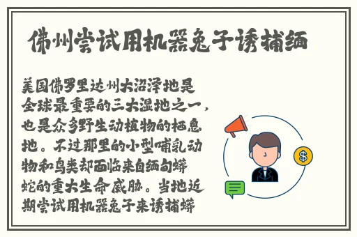 梁医生不可以